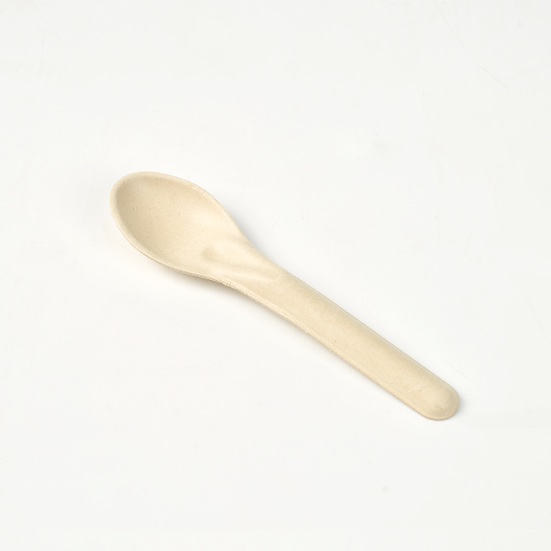 Sugarcane bagasse spoon