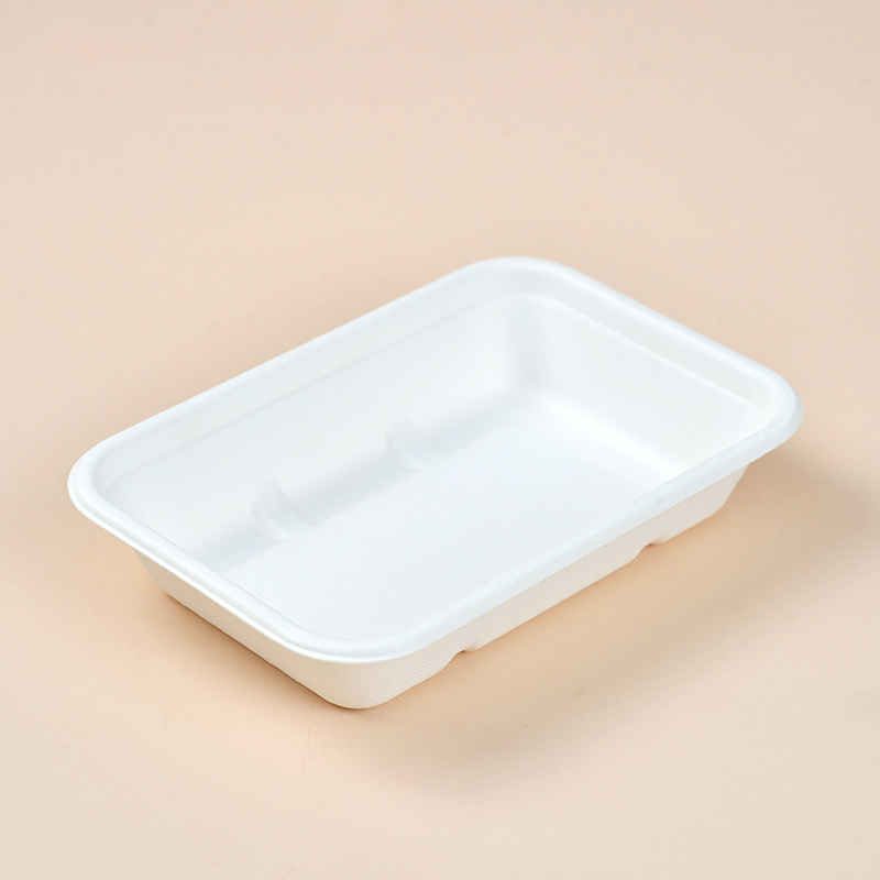 Sugarcane bagasse takeaway boxes