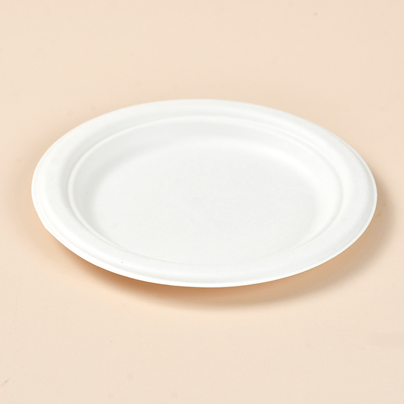 Sugarcane bagasse plates