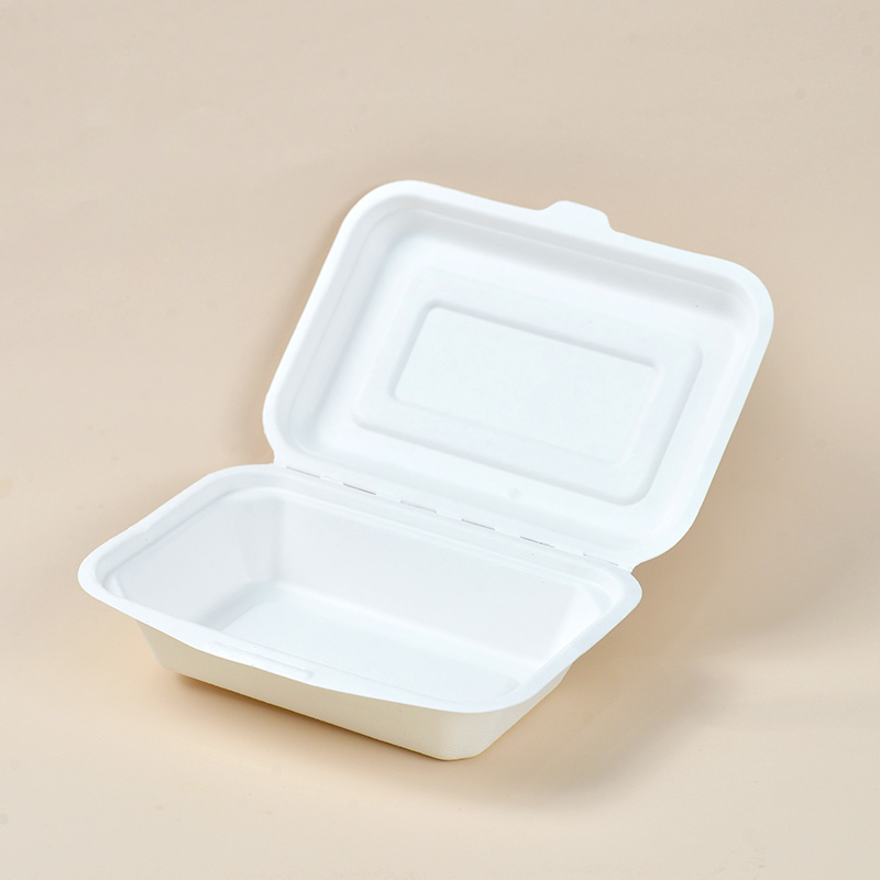 Sugarcane bagasse lock boxes